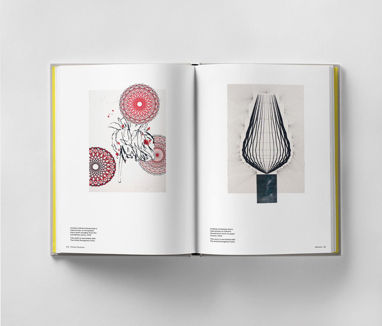 An open 'Sahand Hesamiyan: Primary Structures' book by Black Dog Online showcases abstract art; the left page displays red circular patterns inspired by Islamic and Persian architecture, while the right features a teardrop design with lines reminiscent of Sahand Hesamiyan's metal sculptures.