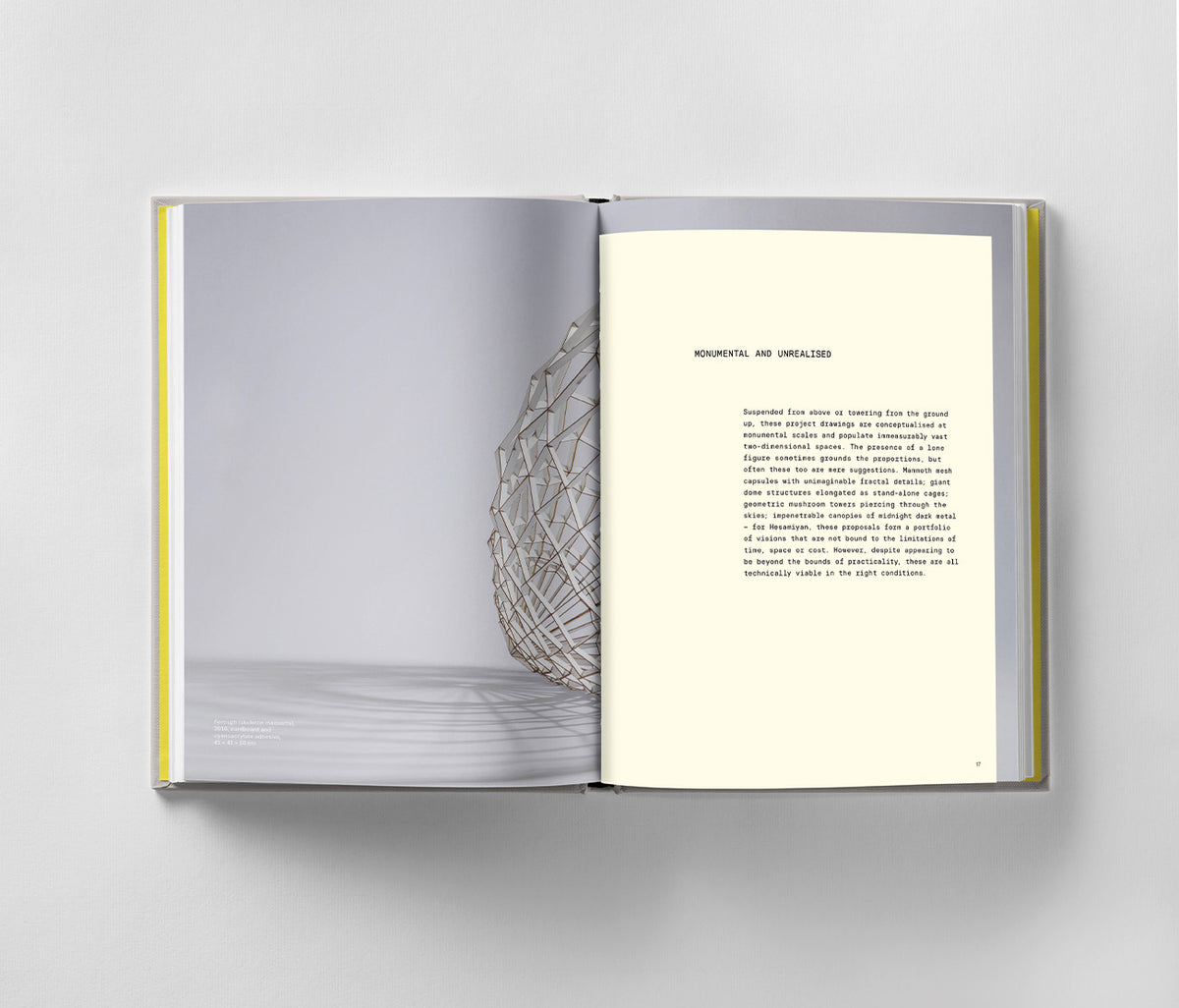 An open book titled "Sahand Hesamiyan: Primary Structures" by Black Dog Online rests on a white surface, with text on the right and an intricate wire sculpture on the left, reminiscent of Islamic and Persian architectural elegance.