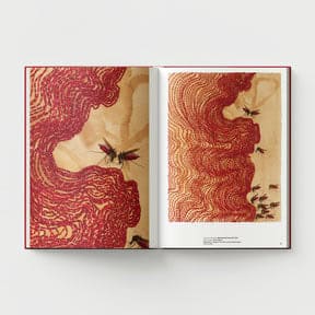Open the book titled "Ambreen Butt: What Comes to My Lips" by Black Dog Online, featuring abstract red patterns intertwined with illustrations of bees on a beige background, reminiscent of Indo-Persian miniature painting.