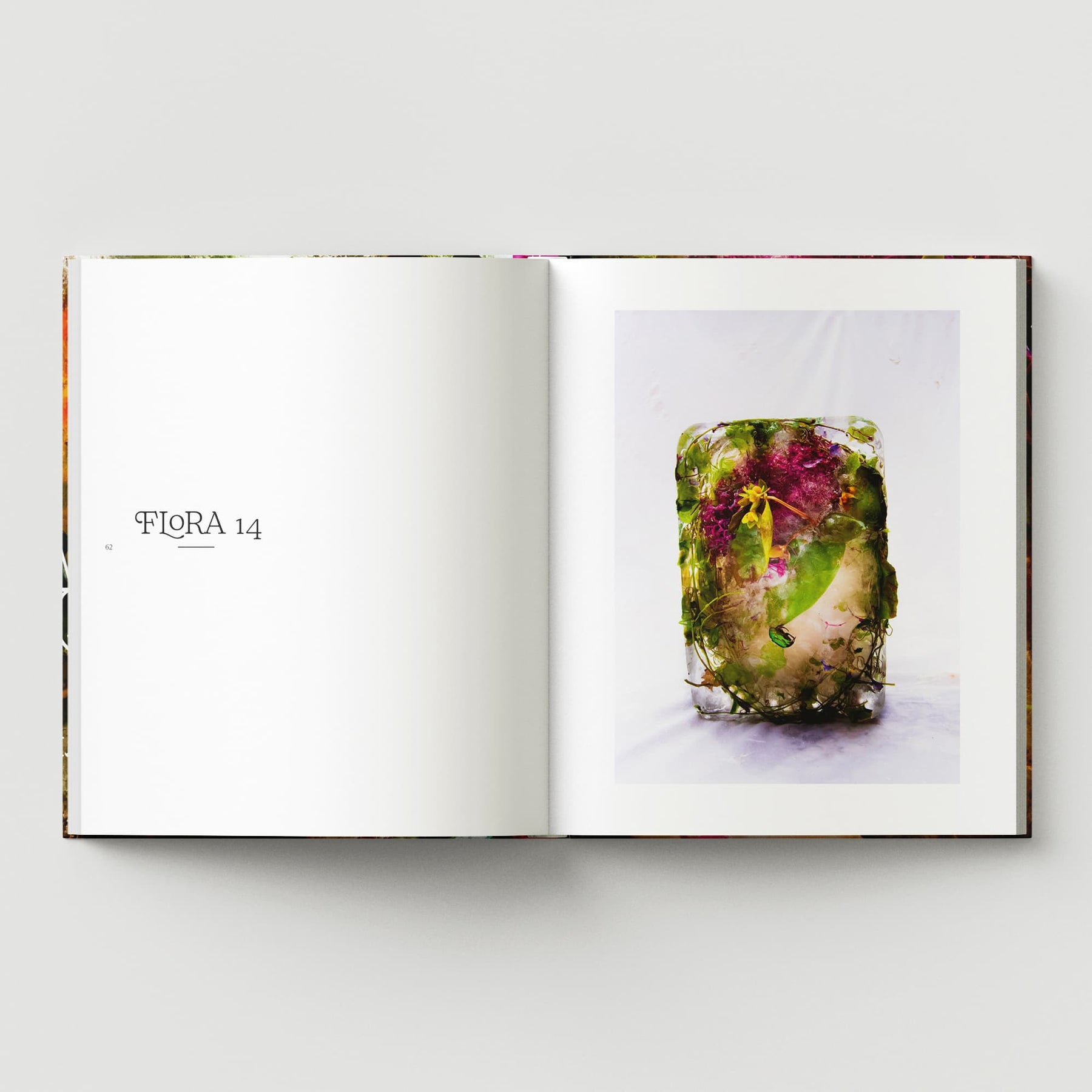 Flora: A Frozen English Garden
