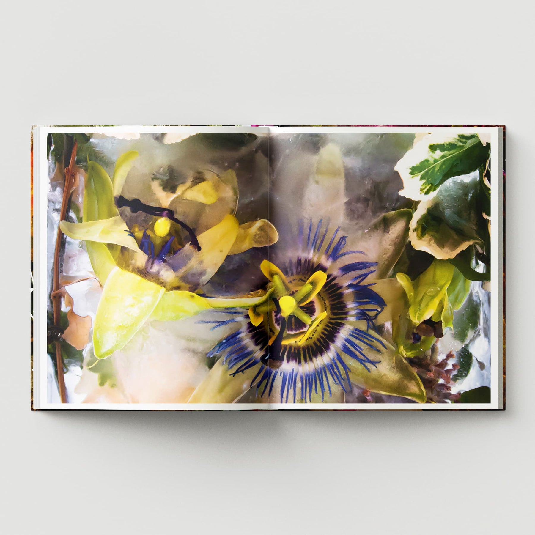 Flora: A Frozen English Garden