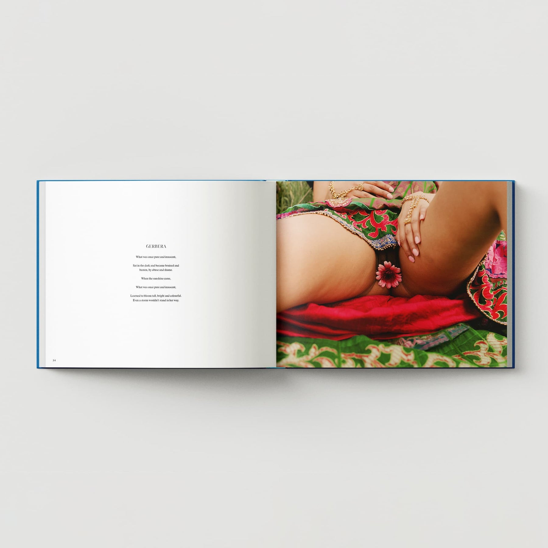 An open book titled "Bex Day: Petal" by Black Dog Online reveals a page with text on the left and a close-up image of a person lying down on the right, dressed in vibrant clothing and delicately holding a pink flower near their waist, subtly aiming to dismantle taboos surrounding female genitalia.