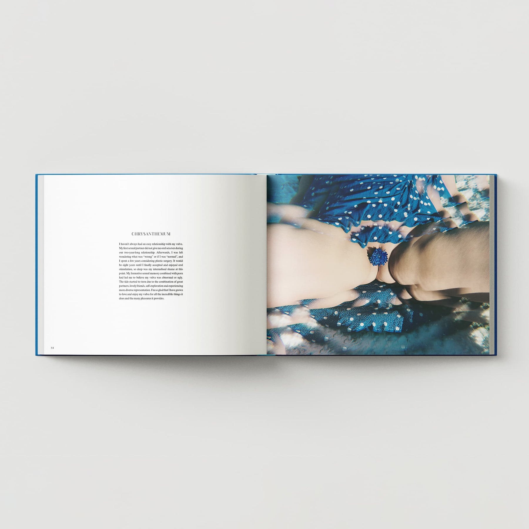 An open book, "Bex Day: Petal" by Black Dog Online, showcases a page of text on the left and a photo on the right featuring two hands clasping a bracelet against blue, patterned fabric, subtly celebrating female genitalia and aiming to dismantle taboos through its powerful imagery.