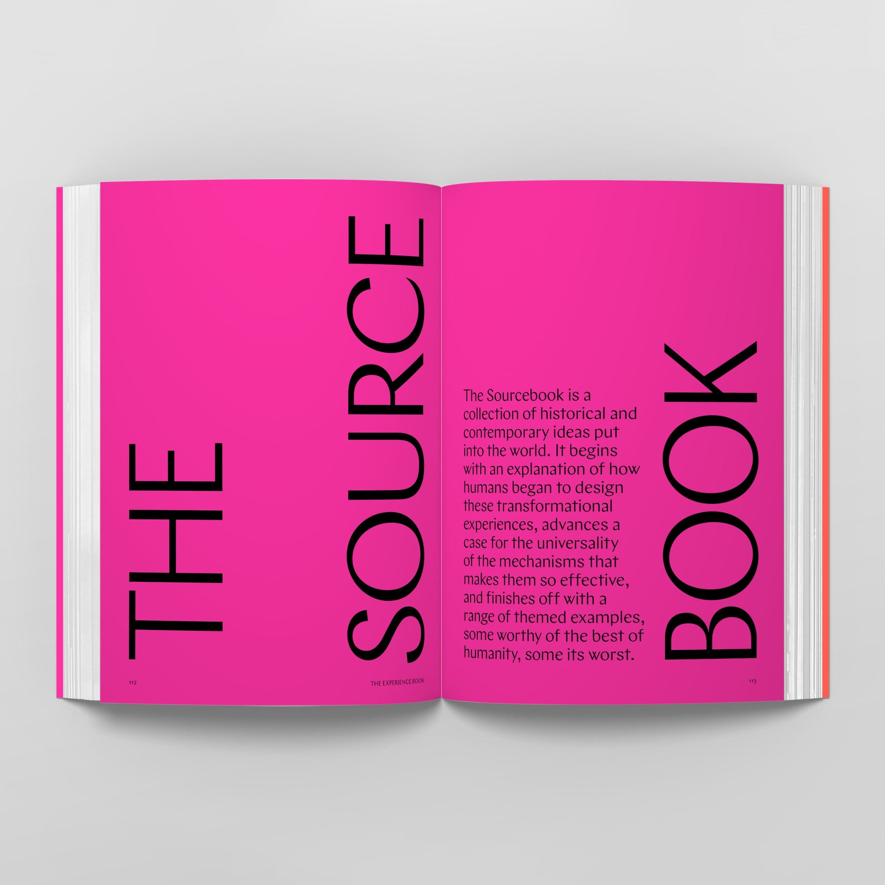 Open book with a bright pink two-page spread. The left page reads "THE SOURCE" vertically, and the right page reads "BOOK" vertically, with descriptive text in the center. Ideal for experience designers, this vibrant edition is also known as "The Experience Book: For Designers, Thinkers & Makers." Published by Black Dog Online.