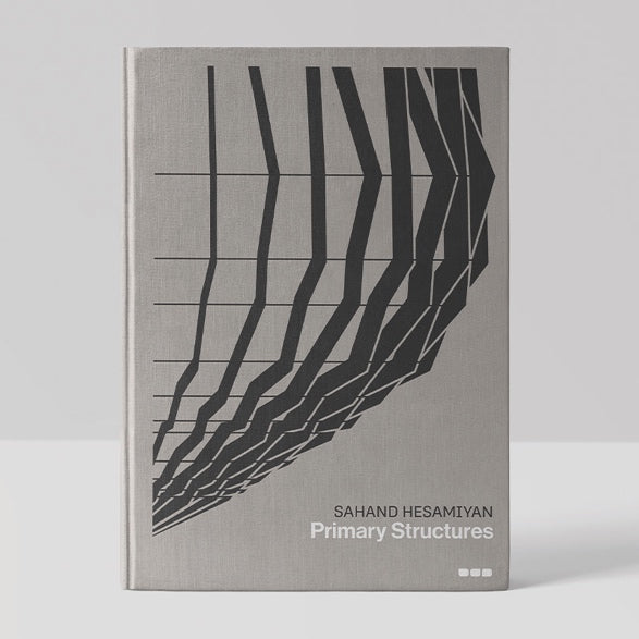 Cover of "Sahand Hesamiyan: Primary Structures" by Black Dog Online, showcasing abstract black geometric lines on a gray background, reminiscent of intricate patterns in Islamic and Persian architecture.