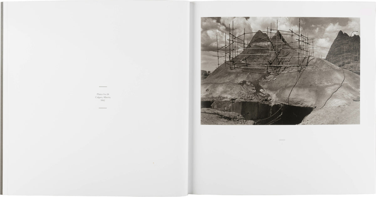 Mesozoic Park: Terry Munro