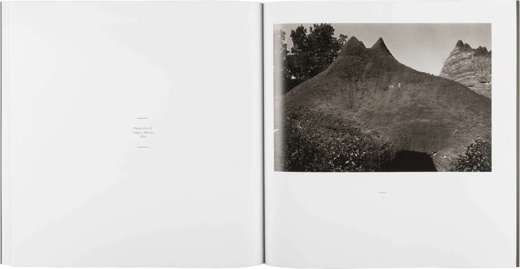 Mesozoic Park: Terry Munro