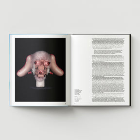 Displayed on a white background, the open book "Formula + Fetish" by Black Dog Press shows a photo of a fluffy pink mechanical dog-like head by British artist Mark Woods on the left, with black text blocks on the right.