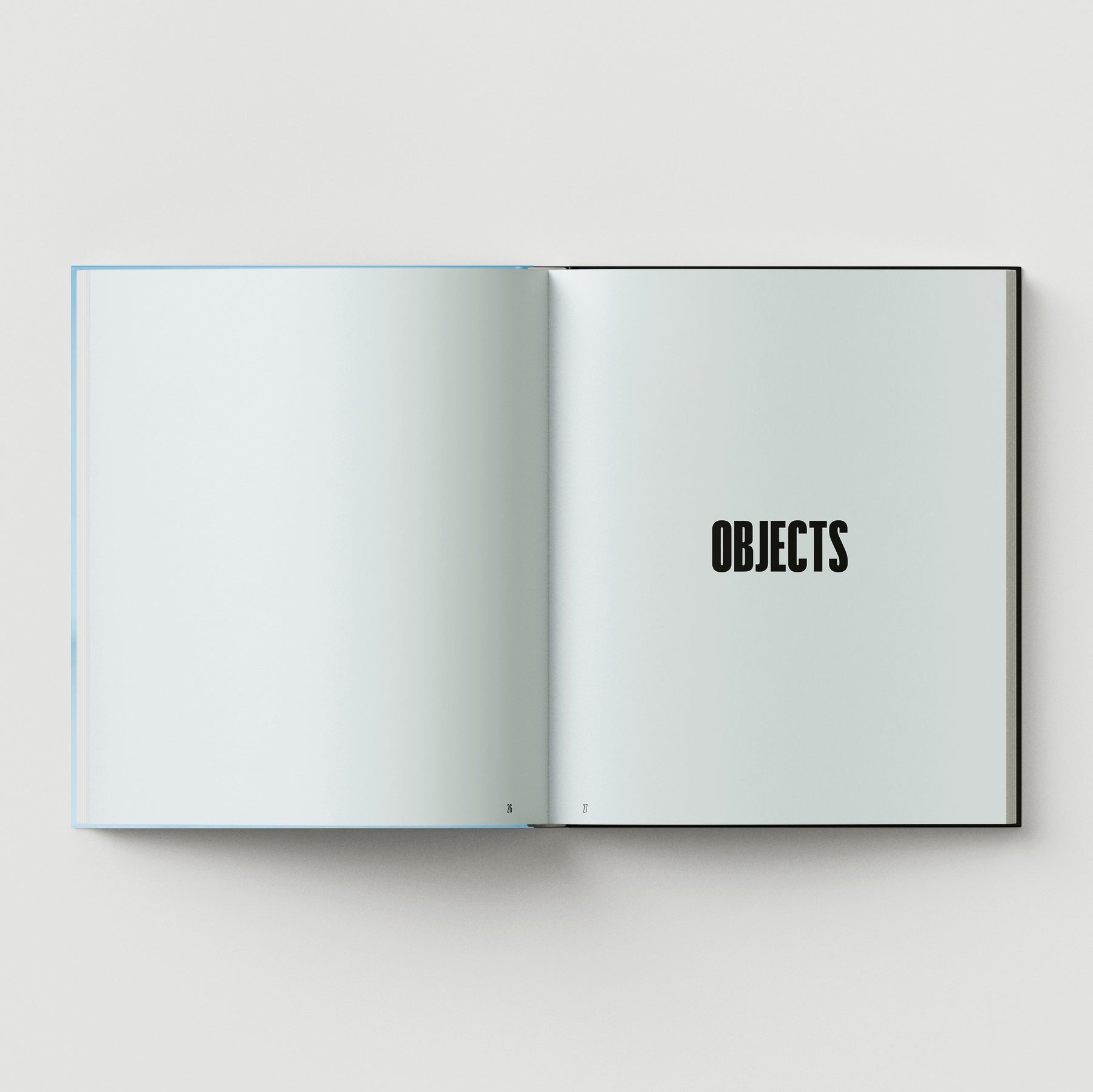 An open book displays two blank white pages; the right page shows "FORMULA + FETISH" in bold black, with page numbers 6 and 7 at the bottom—reflecting the minimalist style associated with Black Dog Press.